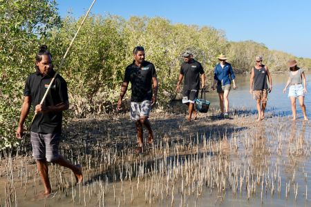 tile-tour-mangrove.jpg